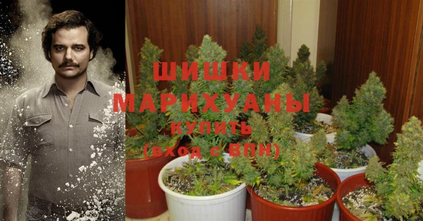 гидропоника Абаза