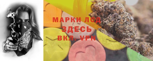 прущие грибы Нефтекумск